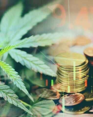 Cannabis Updates: How Proposed Laws and License Developments Could Impact the Industry