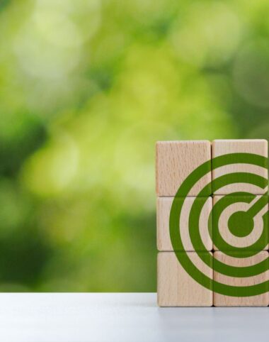 Driving Innovation, Culture, and Growth at Levenfeld Pearlstein