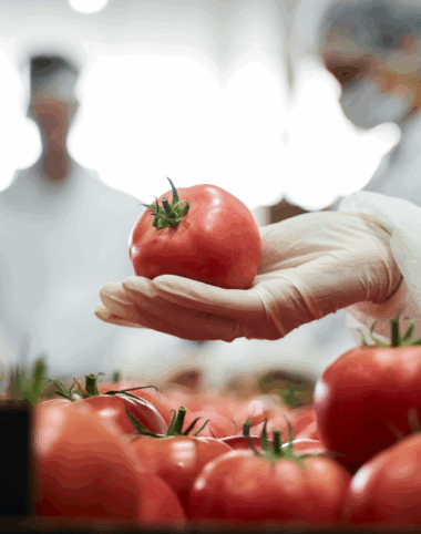 Tariffs Are Back on the Menu — and the Food and Beverage Industry Can Taste It