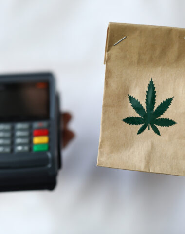As More Businesses Enter the Cannabis Market, What Is the Preferred Business Model?