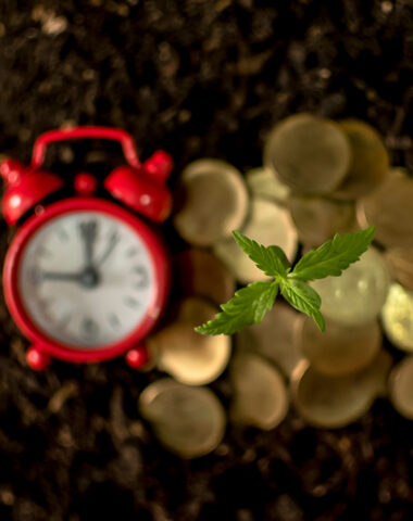 The Cannabis Preapproval Process – It’s a Matter of Time & Money